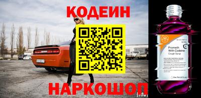 гашик Моздок