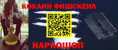гашик Моздок