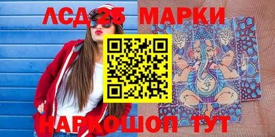 гашик Моздок