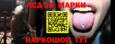гашик Моздок