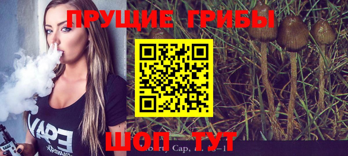 Галлюциногенные грибы мухоморы  купить  сайты  Вход с VPN  Шахты  Псилоцибиновые грибы Psilocybe 