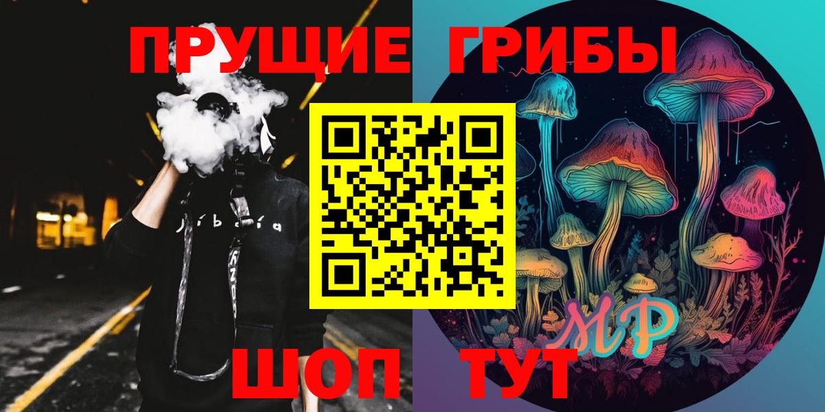 Псилоцибиновые грибы Psilocybe Шахты