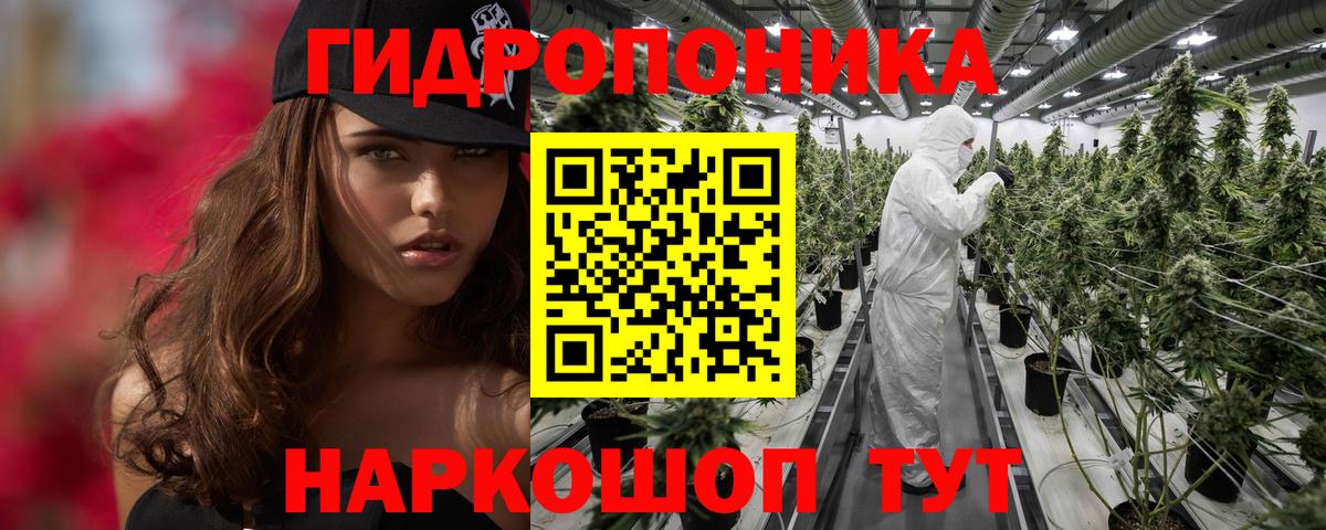 МАРИХУАНА план Шахты